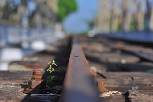 growing rail