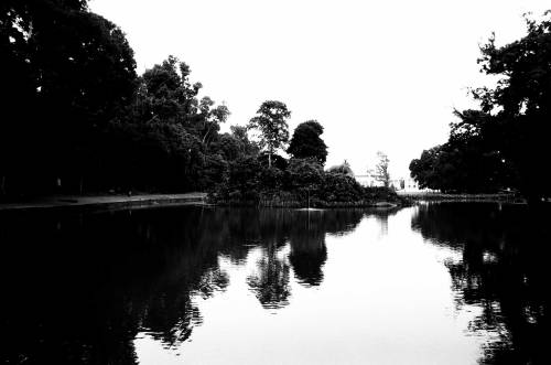 pond with istana at bacground.  nikon fe nikkor 28mm f3.5 ais kodak 100tmax @iso80,  kebun raya bogor  october 2012 